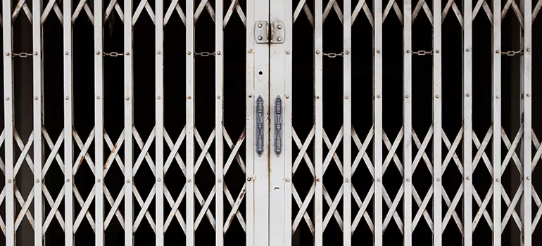 Steel Line Garage Door Repairs in Leisure City, FL