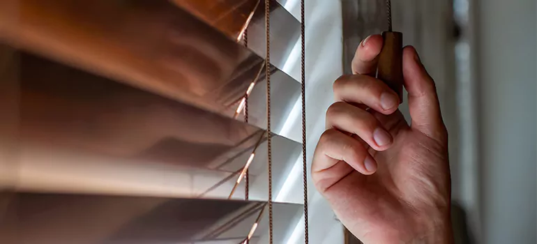 Double Roller Blinds in Leisure City, FL