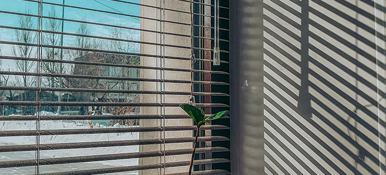 Commercial Window Blinds in Leisure City, FL