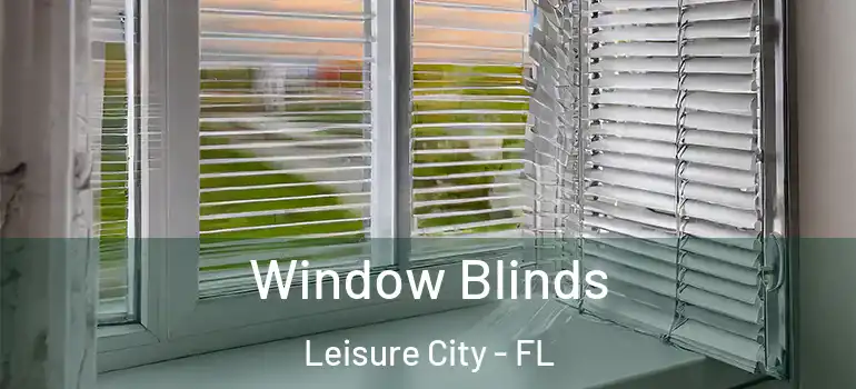  Window Blinds Leisure City - FL